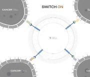 [임상 업데이트] 앱클론 혈액암 타깃 CAR-T 치료제 임상1상 결과 발표