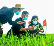북한의 농민들…"올해 알곡 생산 목표 반드시 점령"