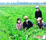 [데일리 북한] 농업근로자들에 "정신력 최대로 분출" 촉구