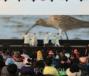 무안황토갯벌축제, 9일 개막 ...체험해사 수두룩