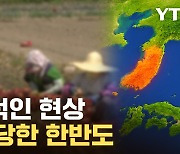 [자막뉴스] 두려운 예고편?...극단적인 현상에 사망자까지