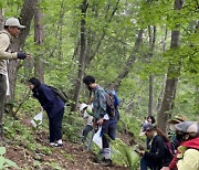 '천상의 화원' 태백 금대봉 야생화 만나요…7월까지 친환경 트레킹