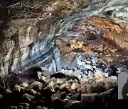 천연기념물 ‘수산동굴’ 3D 스캔 영상 첫 공개…“가치 재조명”