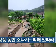 충북 강풍 동반 소나기…피해 잇따라