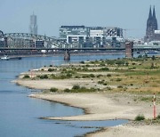 국내 석유화학 기업이 독일 라인강 ‘수위’에 주목하는 이유는? [비즈360]