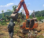 충북 4개 시·군서 과수화상병 추가 발생…누적 피해 15.4㏊