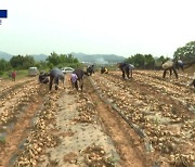 [현장 카메라]“15만 원? 더 줄게” 외국인 근로자 쟁탈전