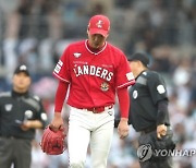 김광현 4실점 두들긴 NC, 1위 SSG 스윕 쾌거[창원에서]