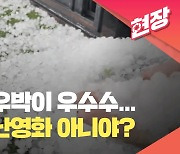 충북 중북부 지름 1~2cm 우박 내려…시설물 피해 유의 [현장영상]