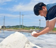 “천일염 비축 수요…가격 한 달 새 30% 넘게 뛰어”[‘오염수 방류 임박’ 불안 확산]