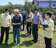 사과 주산지 경북 영주서  우박쏟아져…사과밭 780㏊ 피해 입어