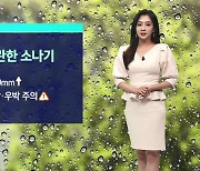 [날씨] 곳곳서 벼락 · 우박…월요일 동쪽 중심 비 소식