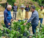 서흥원 양구군수, 농가 우박 피해 상황 점검