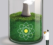 [시론] 스리마일·체르노빌·후쿠시마… 진실은 무엇인가