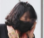 '경기도 법카 유용 의혹' 배모 씨 구형 연기… 재판부 "공소장 변경"