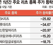 '고금리 직격탄' 리츠시장… 하반기 볕드나