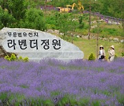 쌍용C&E, '무릉별유천지 라벤더 축제'에 2700만원 상당 물품지원