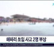 해파리 쏘임 사고 2명  부상