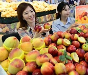 농협 하나로마트, 여름 대표 과일 천도복숭아 올해 첫 판매!