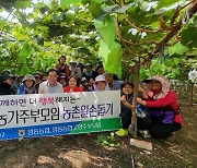충북 영동농협 농가주부모임 일손돕기 활동 펼쳐