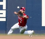 프로야구 선두 SSG 어쩌나…핵심야수 김성현·하재훈 부상 이탈