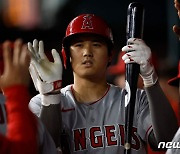 오타니, 시즌 19호포 쾅…AL 홈런 공동 선두 도약