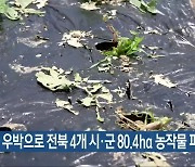 우박으로 전북 4개 시·군 80.4ha 농작물 피해