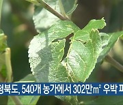 충청북도, 540개 농가에서 302만㎡ 우박 피해