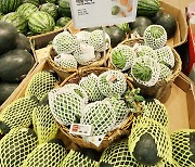 Single-serving melons