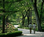 산림청, 나무병원 운영 부담 완화…산림보호법 시행령 개정