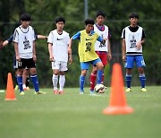 U-20 월드컵 2회 연속 4강…대한축구협회 "유소년 육성 정책 결실"