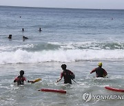 전남 해수욕장 12곳 내달 8일 개장