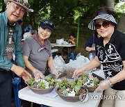 "거실에 놓을 미니정원 직접 만들어요"