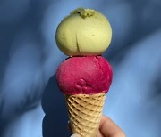 Food-Ice Cream Dreams