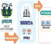 태백시, 강원특별자치도 출범으로 산림자원 활용 수소 산업 가속화