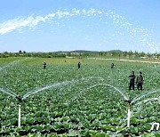 북한 "증산군 발산농장 온실남새 생산 늘어나"