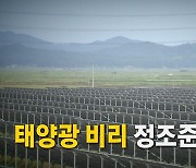 [영상] 尹 "의사결정 라인 철저 조사"...文 태양광 사업 겨냥