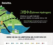 한국딜로이트그룹, "2050년 전체 수소의 85%는 그린수소"