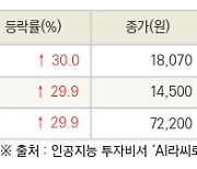 [fnRASSI]오늘의 상한가, 보라티알 30.0% ↑