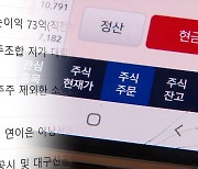 투자 카페가 하한가 진원지?…운영자 “주가 조작 아냐”