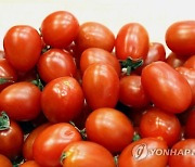 "6살 딸이 먹고 싶대서"...엄마가 훔친 토마토 한 팩