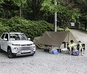 불멍 하며 멍멍…캐스퍼와 함께 '견생샷' 건졌어요