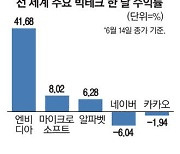 AI 광풍에도 … 우울한 네이버·카카오