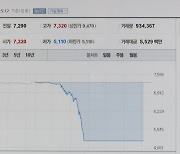 5개 종목 또 집단 하한가…금감원 불공정거래 점검