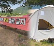 야영장서 자리 독차지 '알박기 텐트' 갈등…20여동 훼손