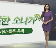 [생활날씨] 내일까지 요란한 소나기…낮기온 오름세