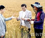 [탐방 선도농협] 찰보리 계약재배 활성화…농가소득 증대 ‘한몫’