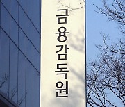 금감원, 내년 '매출채권 손실 충당금 적정성' 등 집중 점검