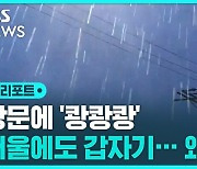 [D리포트] 서울에도 우박…최근 잦아진 소나기 · 우박 왜?