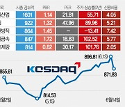 '폭락' 5개사 시총 5000억 증발···코스닥도 2.8% 뚝[또 터진 무더기 하한가]